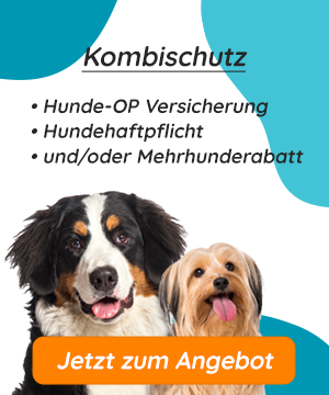 Hunde-OP Versicherung mit Zahnsteinentfernung Kombischutz