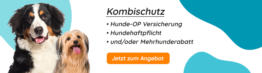 Hunde-OP Versicherung mit Zahnsteinentfernung Kombischutz
