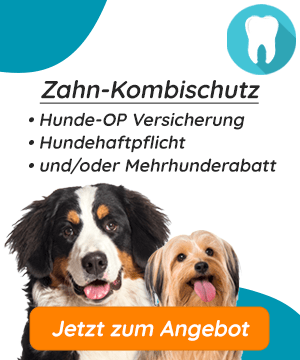 Hunde-OP Versicherung mit Zahnsteinentfernung Kombischutz