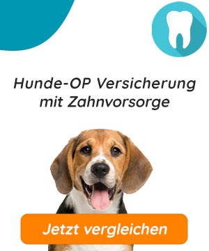 Hunde-OP Versicherung mit Zahnvorsorge