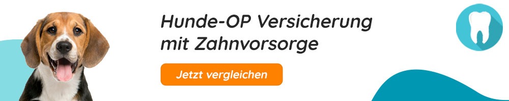 Hunde-OP Versicherung mit Zahnvorsorge